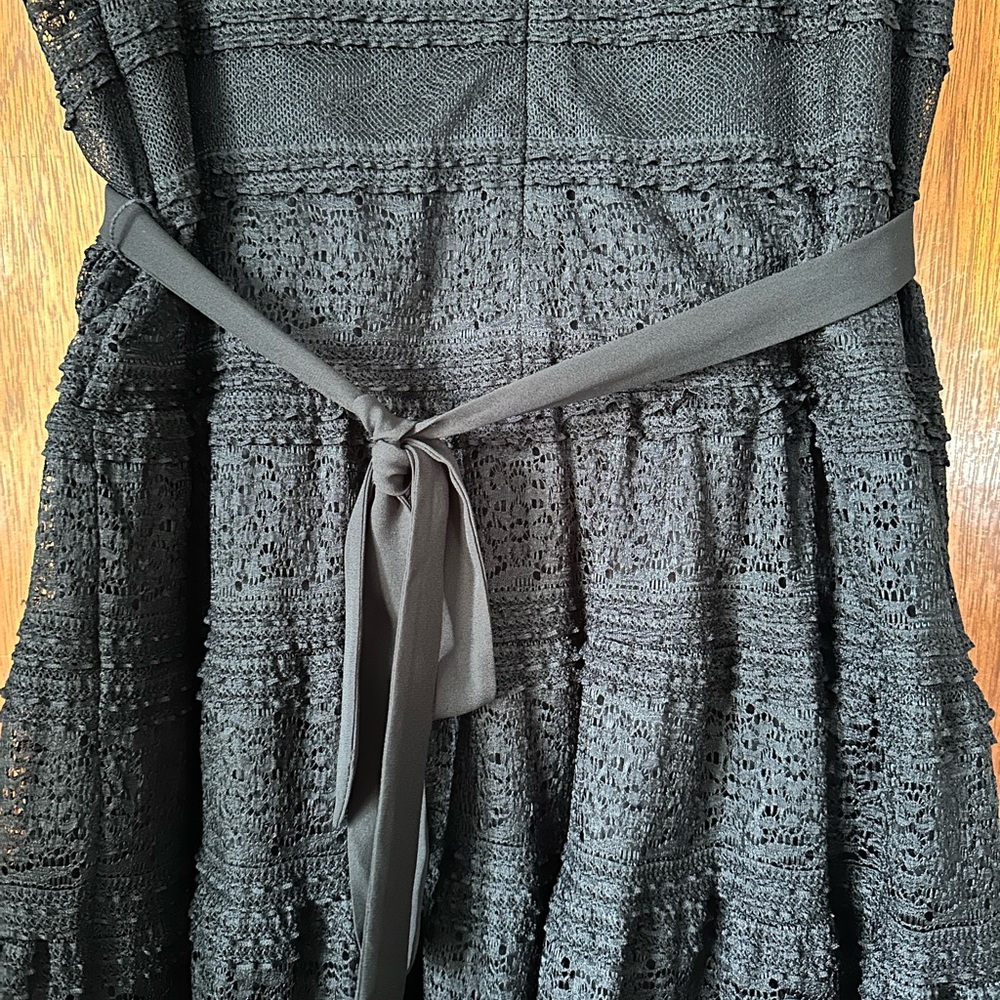 Rabbit Rabbit Rabbit Elegant Black Lace Dress - Picture 5 of 7